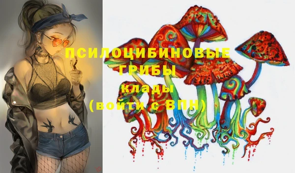 дживик Дмитриев