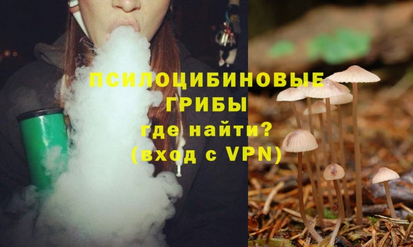 дживик Дмитриев