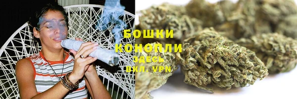 дживик Дмитриев
